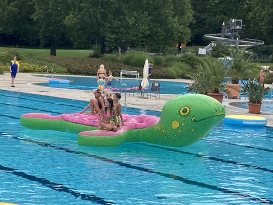 Sommer - Pool - Party hat trotz Dauerregen stattgefunden